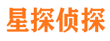 凤山市调查公司